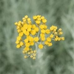 Click image for larger version

Name:	1e2500bf55fbeb9427d2f21247fde225.jpg
Views:	681
Size:	26.0 KB
ID:	2564