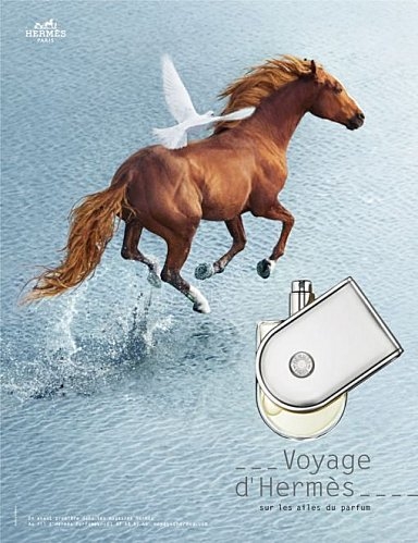 Click image for larger version

Name:	voyagedhermes.jpg
Views:	1123
Size:	126.1 KB
ID:	2636