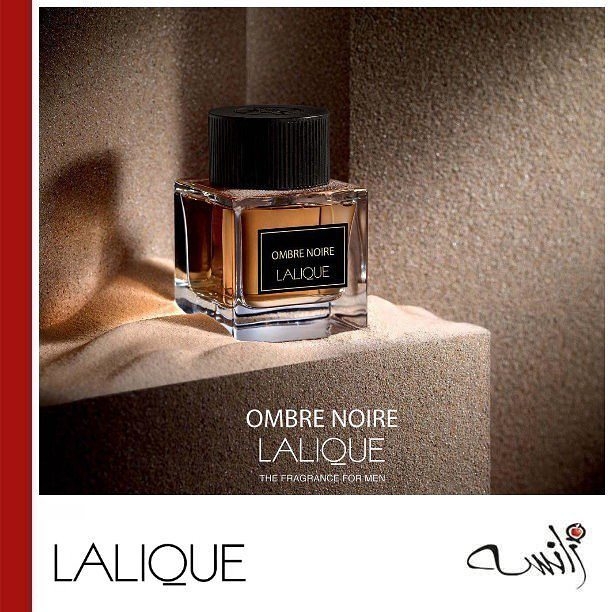 Click image for larger version

Name:	ombre noire2.jpg
Views:	1634
Size:	231.1 KB
ID:	59517