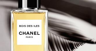 Click image for larger version  Name:	ad-chanel-bois-des-iles-ad_3.jpg Views:	2 Size:	844.9 KB ID:	62920