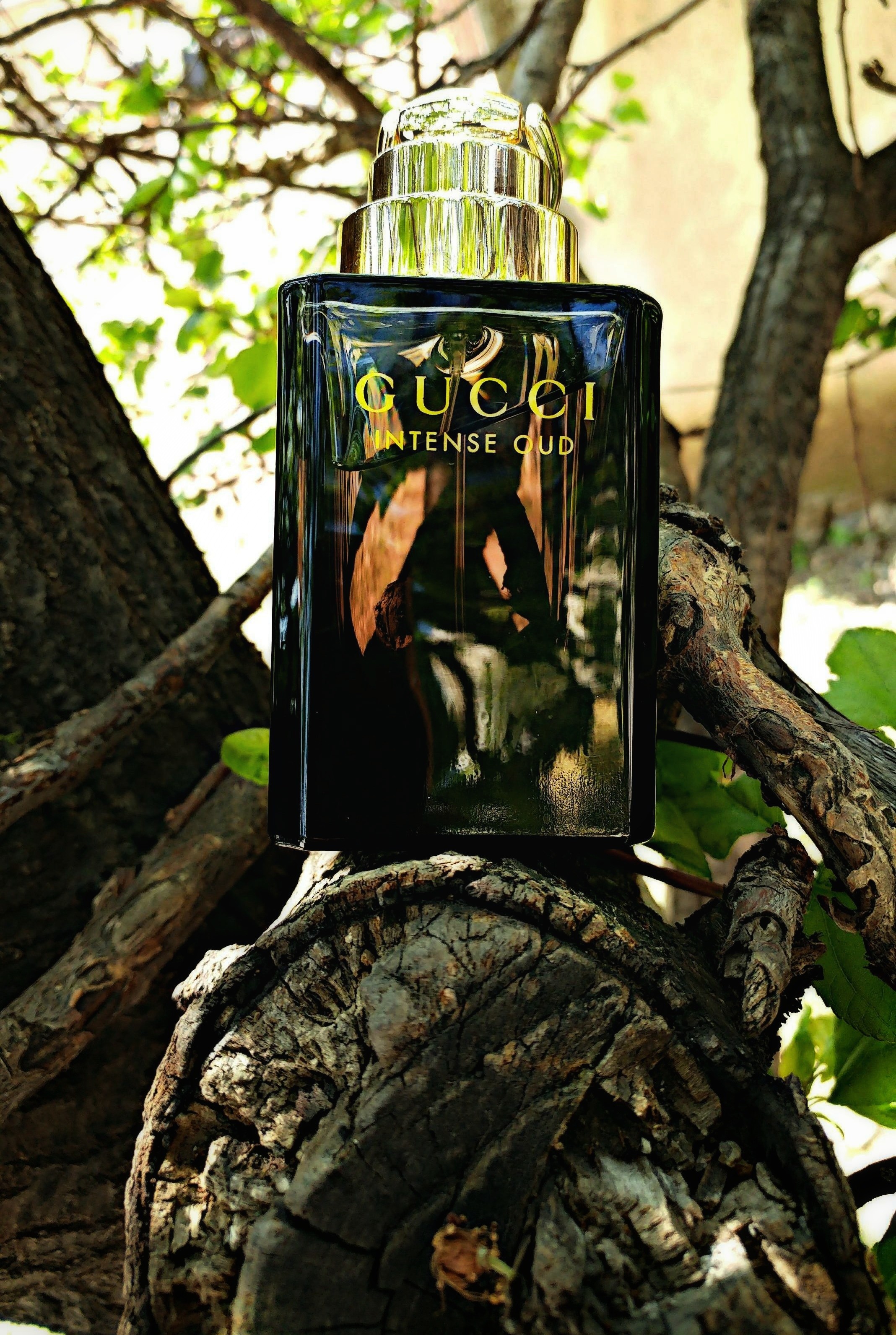 Click image for larger version

Name:	20170323_141749_1490273835165_1490273966663_1490274007829_1490274109144 (1)-01.jpeg
Views:	259
Size:	1.36 MB
ID:	158871