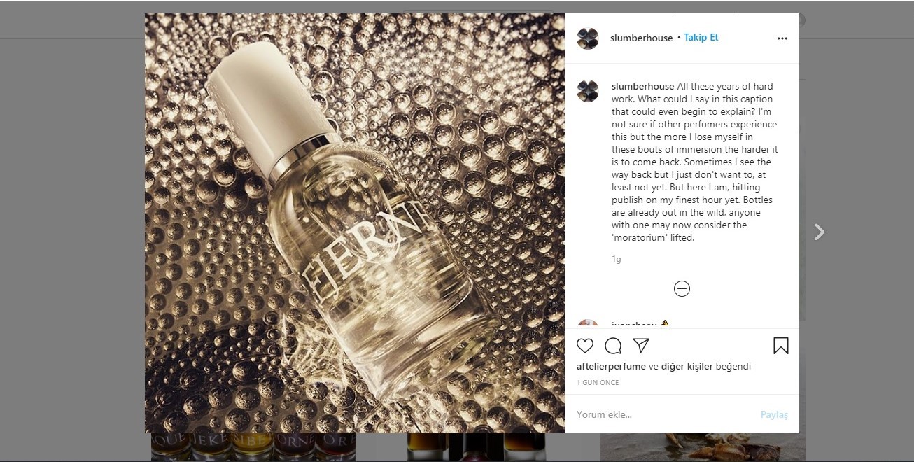 Click image for larger version  Name:	slumb2.jpg Views:	0 Size:	248.1 KB ID:	173381