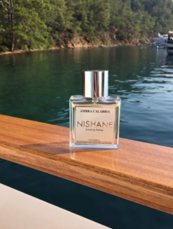 Click image for larger version

Name:	image0.png
Views:	650
Size:	721.8 KB
ID:	176928