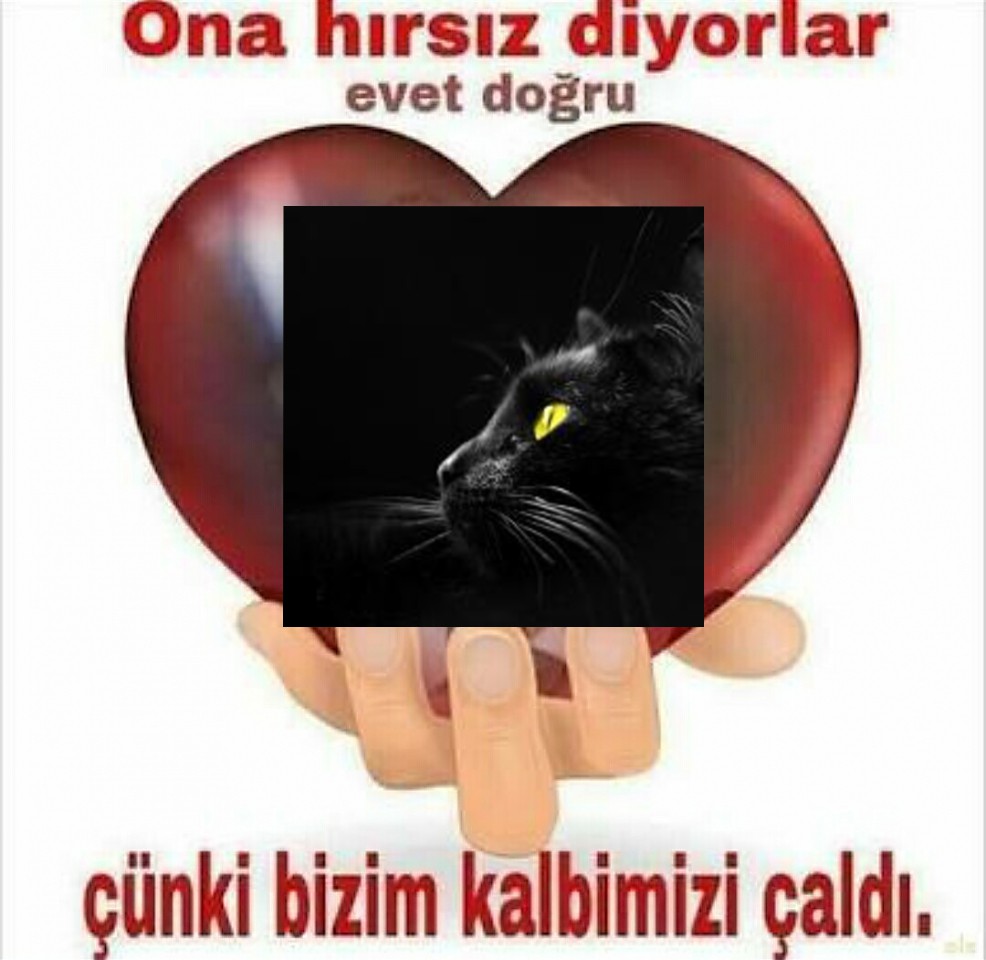 Click image for larger version

Name:	cantonakalp.jpg
Views:	1407
Size:	114.7 KB
ID:	191048