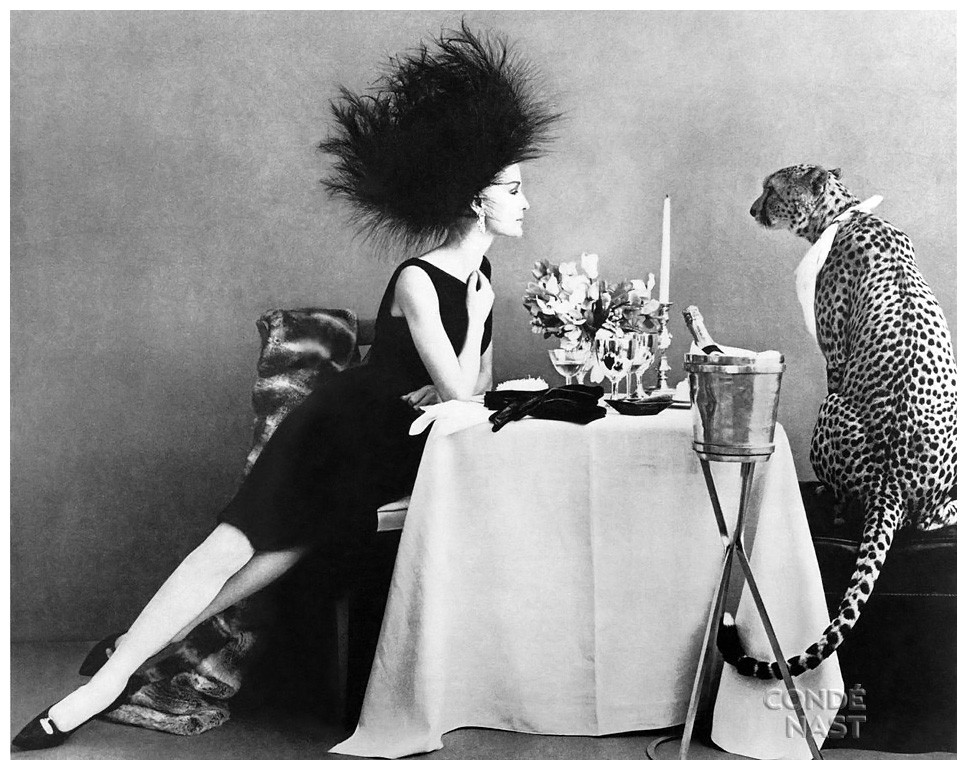 Click image for larger version  Name:	dining-with-a-cheetah-leombruno-bodis-elaborately-staged-photograph-appeared-in-the-november-1-1960-vogue.jpg Views:	4 Size:	201.6 KB ID:	209618