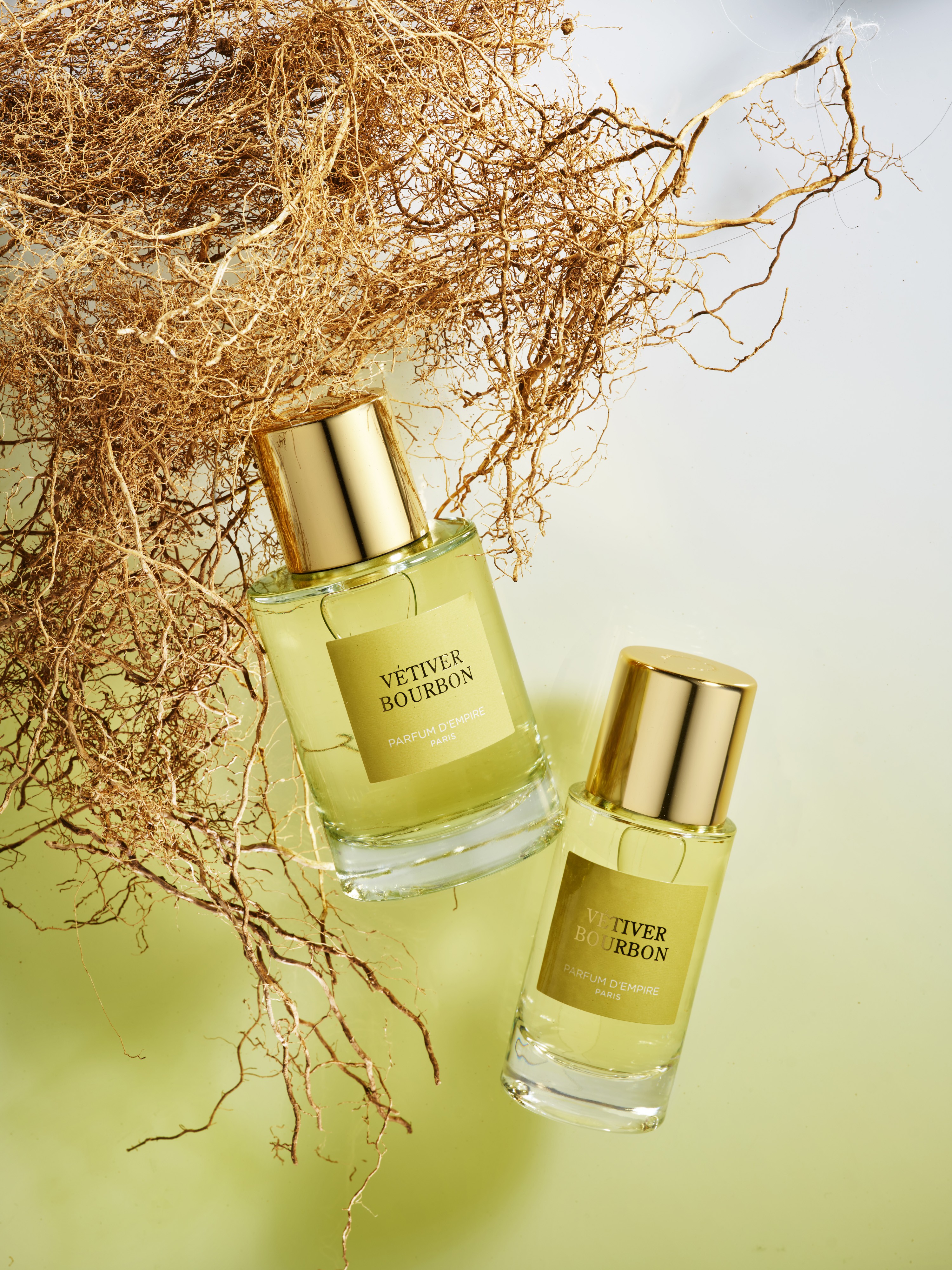 Click image for larger version  Name:	o.t93G9lT3umi.jpg Views:	0 Size:	2.79 MB ID:	212555